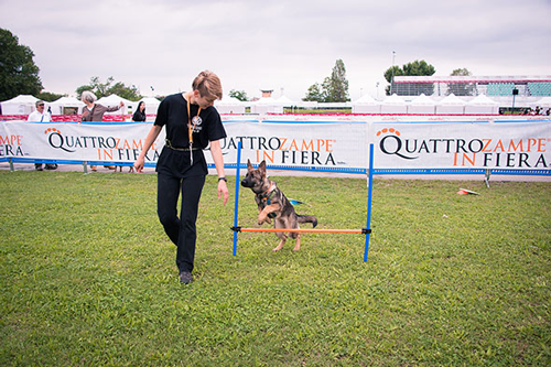 DallAquaDog alla pet therapy a Napoli torna Quattrozampeinfiera 1