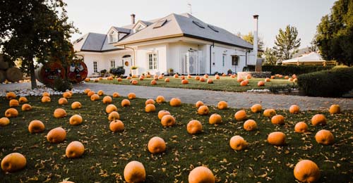 Halloween e zucca mania gli eventi 2023 a Napoli1