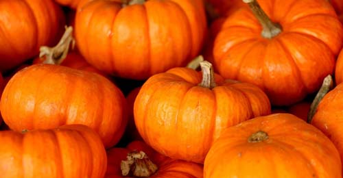 Halloween e zucca mania gli eventi 2023 a Napoli2