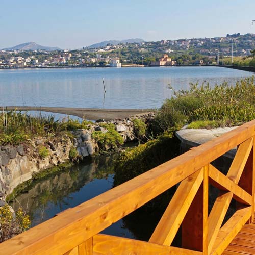 Passeggiata naturalistica dal Lago Fusaro alla selva della quarantena2