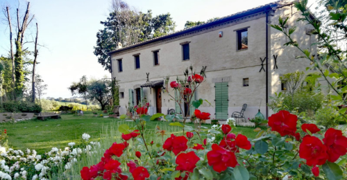 Un’ombra tra gli ulivi: giallo e campagna in un tete-a-tete